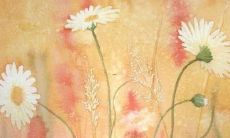 好听的名字男孩胡