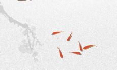 郑姓女孩二字名字