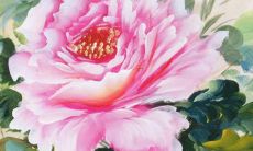 姓马三个字的名字有哪些推荐