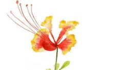 带慕字的女孩名字 五行属水女孩吉利名字