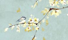 属狗的佩戴什么挂件走桃花运 粉色水晶增强魅力