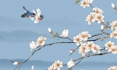 1995年猪女2022年感情运势如何