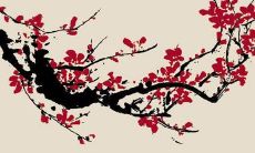 为什么古代不能随便问女孩名字