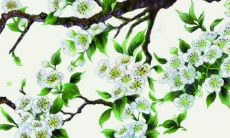 好听女孩双胞胎名字