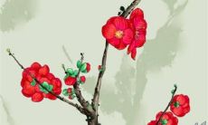 美玲玲2022年属猪女运势