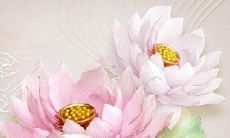 生肖属龙女2022年运势