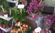 好听有创意的花店名字