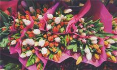 唯美花店名字大全