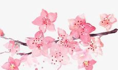 2010属虎女孩名字大全