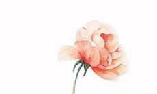 榆名字的意义 希望事业成功