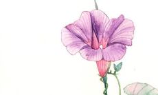 黄姓男宝宝起名大全 阳光大气的男孩名字