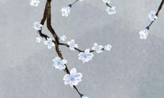 狗年李姓女孩取名字大全