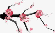 虎宝宝起名大全男孩