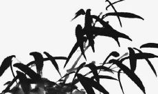 五行属土可用于女孩名字的字