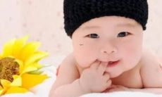 老虎宝宝叫什么名字好