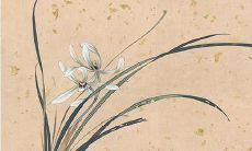 快手中女孩叫什么名字好听