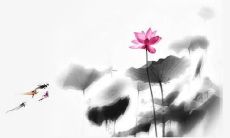 免费网上起名大全 查询