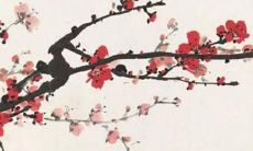 沈紫曦可以用作女孩名字吗