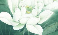 陈姓女孩的名字