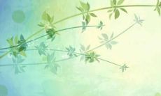 郎朗上口的公司名称怎么取 名字推荐