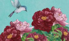 小宝宝小名名字大全 寓意怎么样