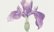 小孩起小名怎么取 有哪些讲究