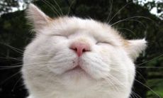 最经典的非主流网名 又甜又温柔的网名