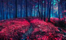 有文艺范的网名 唯美清新的网名大全