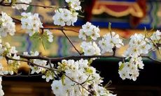 2022属虎男孩起名大气用字