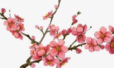 虎宝宝男孩取名字大全免费查询