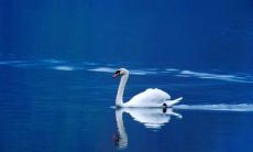 带轶字好听的名字大全 大气美好的含有轶字的名字