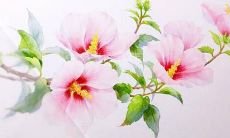 男生名字带柏字 男宝宝名字大全