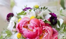 白羊座星座占卜