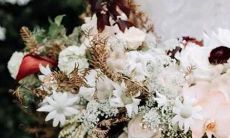 2月5什么星座的