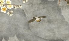 2011年12月26日什么星座