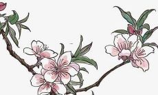 有山有王的虎宝宝名字