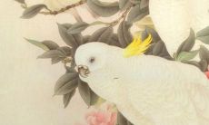 起名字五行缺火女孩儿名