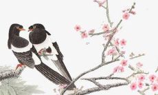 姓孔的女孩名字 孔姓女孩名字