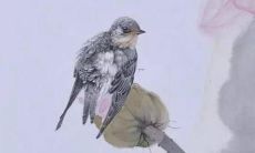 属鼠的女孩什么名字好听