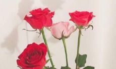 2020年农历闰四月初一出生的宝宝五行怎么样?女孩名字推荐