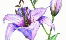 名字不能带天有什么讲究 寓意怎么样