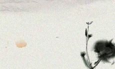 虎宝宝取名字最佳字推荐男