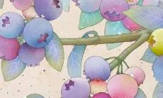 姓黄的男女孩起什么名字好