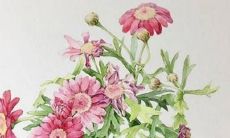 有槑字的女孩名字