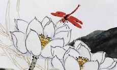 属虎缺金的女孩名字