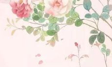 菲字和什么字搭配好听 女宝宝名字大全