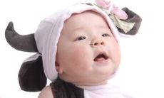 五行缺火的女孩名字属狗姓乔