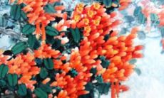 带宸字男孩取名三个字 男宝宝取名字大全