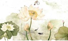 顾姓好听的名字