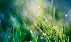 罕见好听的古风微信名 最唯美的微信名字